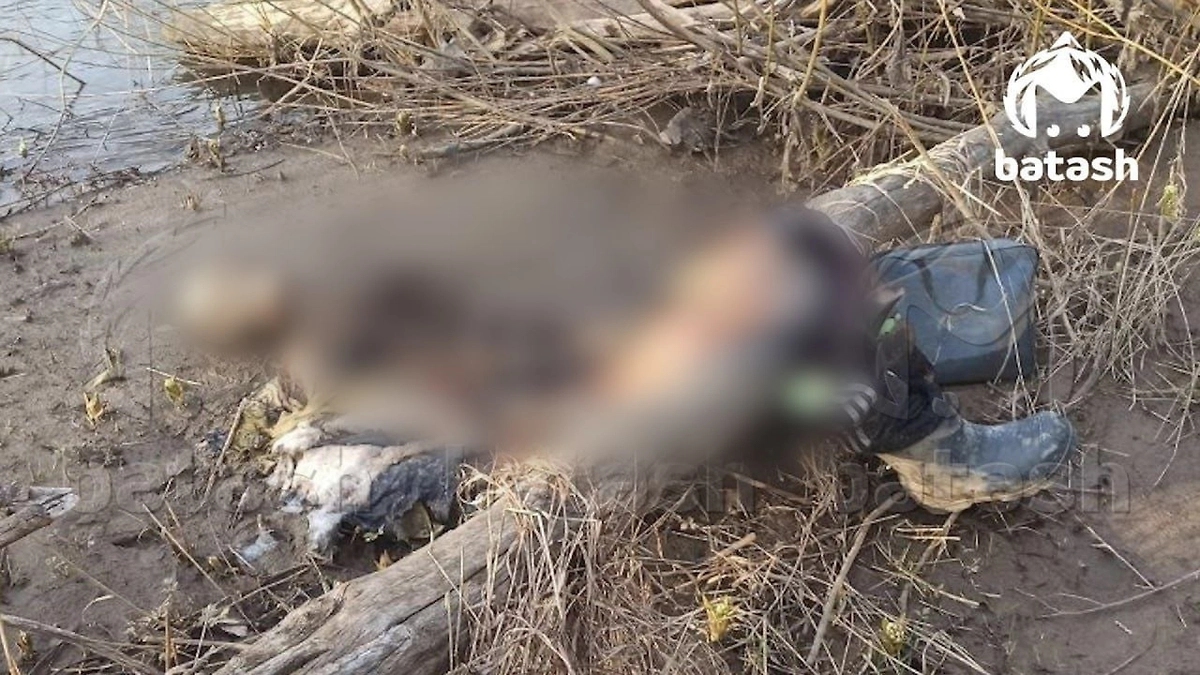 Тело, обнаруженное туристами в Башкирии. Фото © Mash Batash