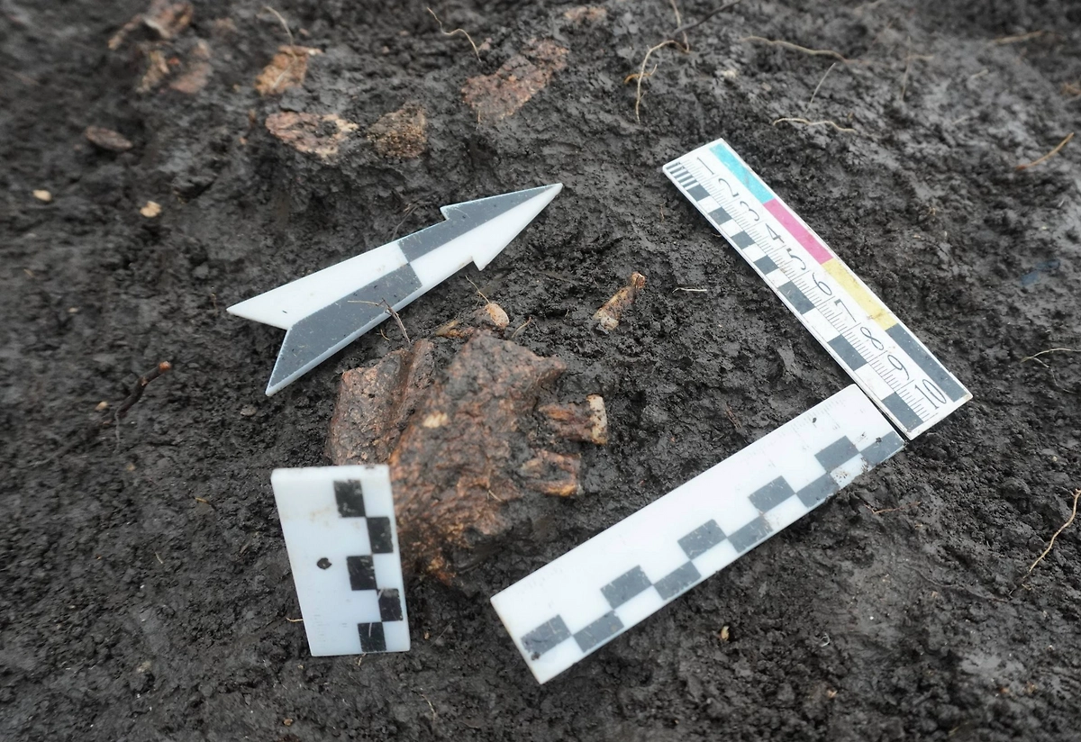 В Адыгее нашли древние захоронения. Фото © Telegram / Мурат Кумпилов