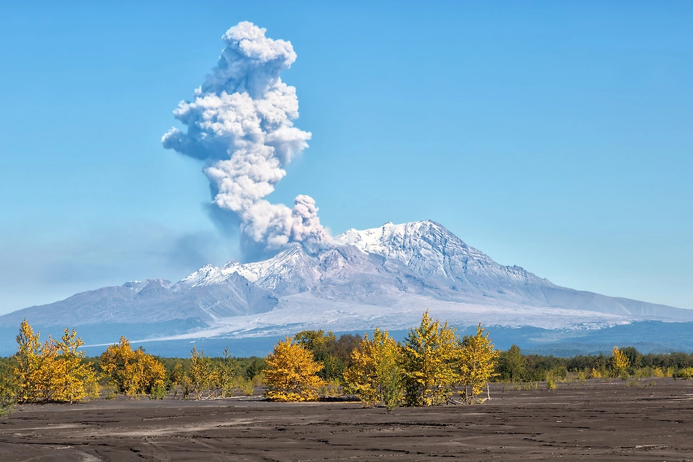 Обложка © Shutterstock.com / FOTODOM / GENNADY TEPLITSKIY