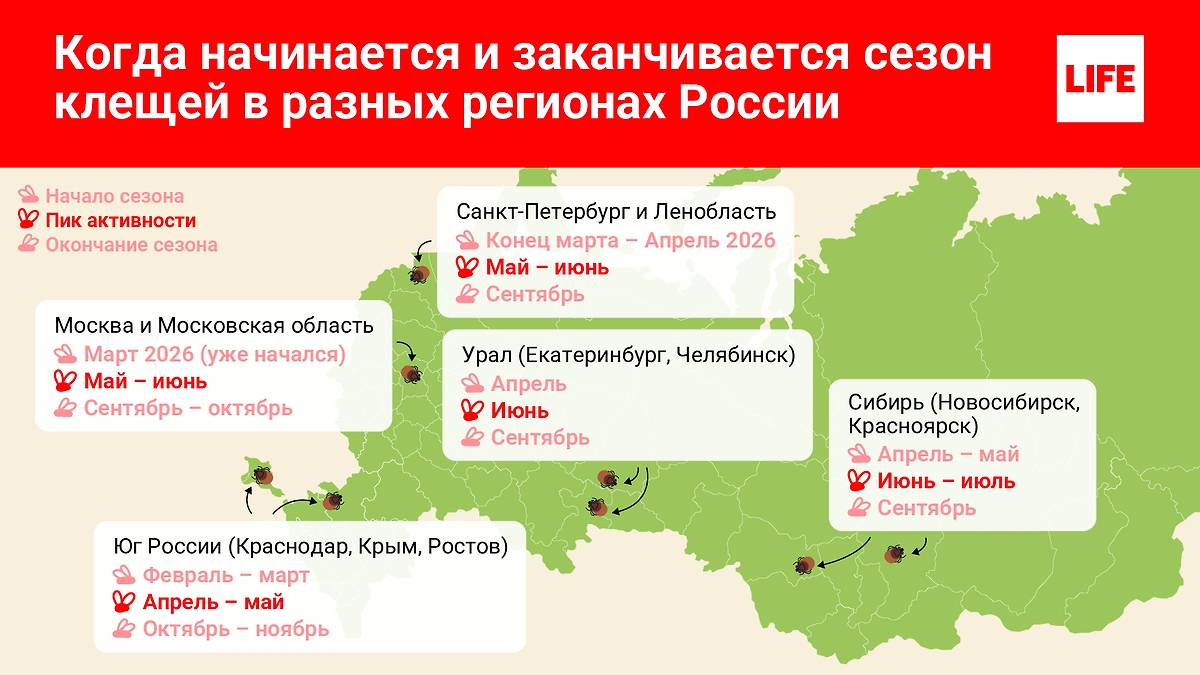 Сезон клещей в разных регионах России в 2026 году. Инфографика © Life.ru