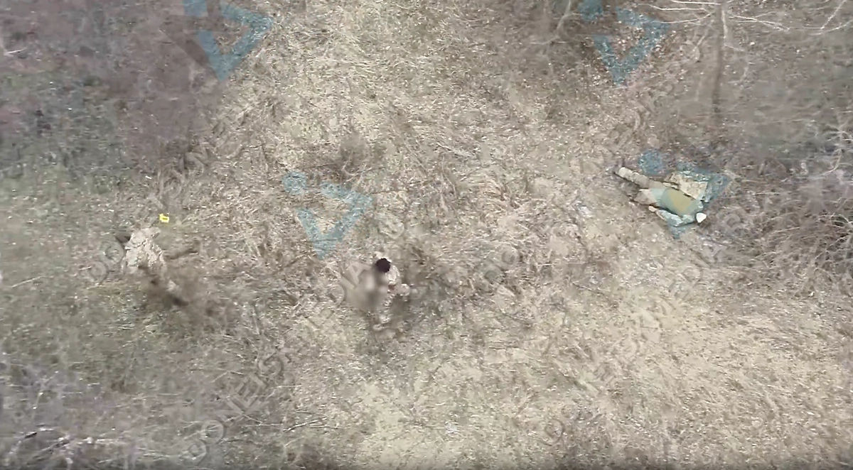 Скриншот видео © Телеграм / Донецк Медиа