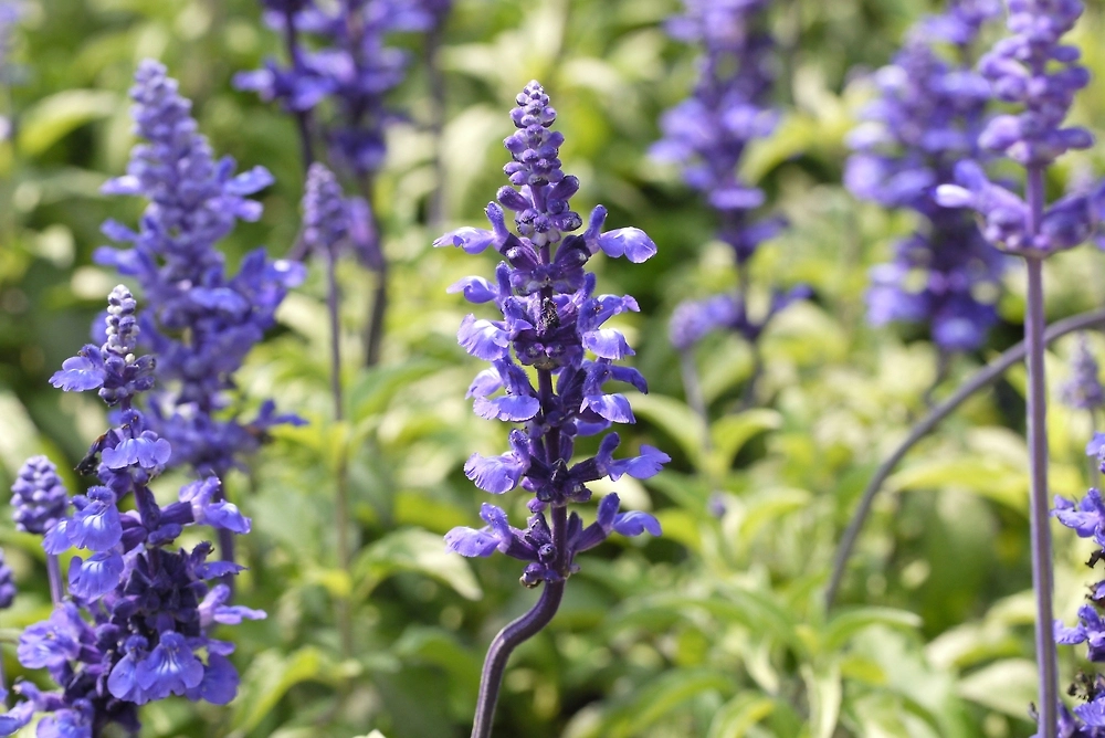 Фото © Shutterstock / FOTODOM / kit yu