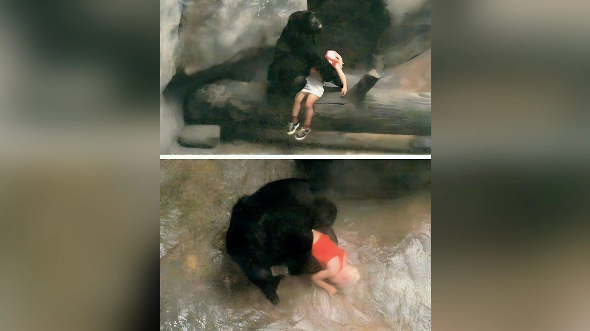 Как животные спасли людей от смерти: реальные случаи, которые поражают. Фото ©&nbsp;YouTube / Иван