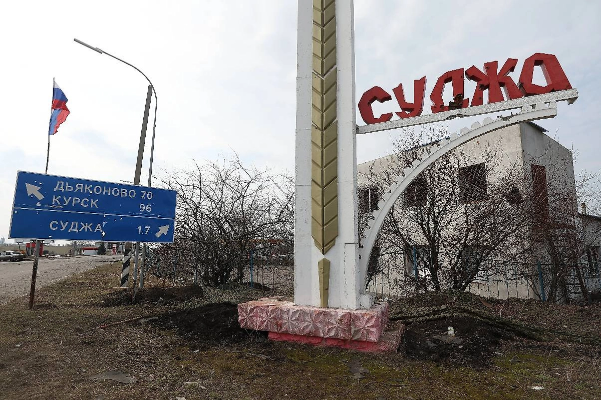 Обложка © ТАСС / Егор Алеев