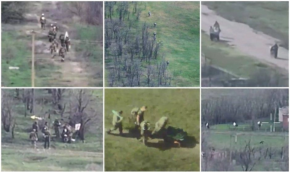 Фото © Telegram/ Kotsnews