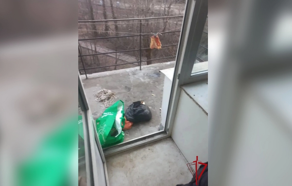 Квартира, откуда спасли мальчика в Ленобласти. Фото © 78.rosguard.gov.ru