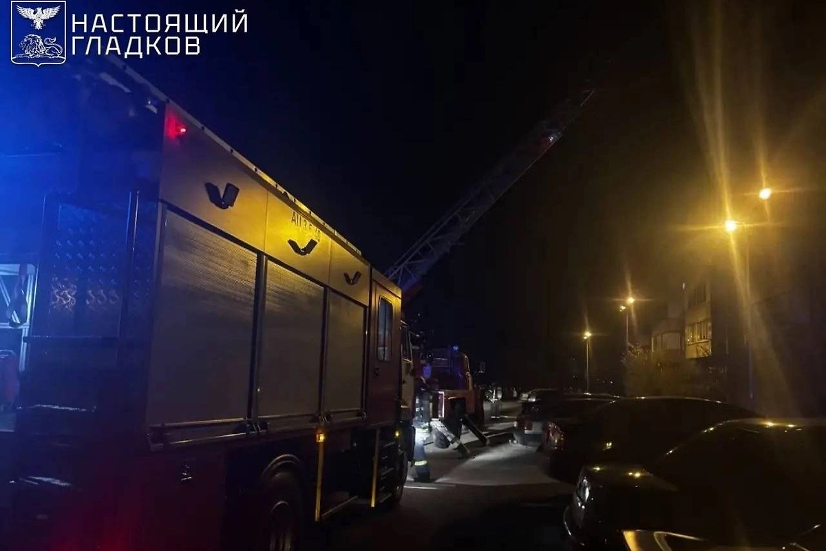 Обложка © Telegram / Настоящий Гладков