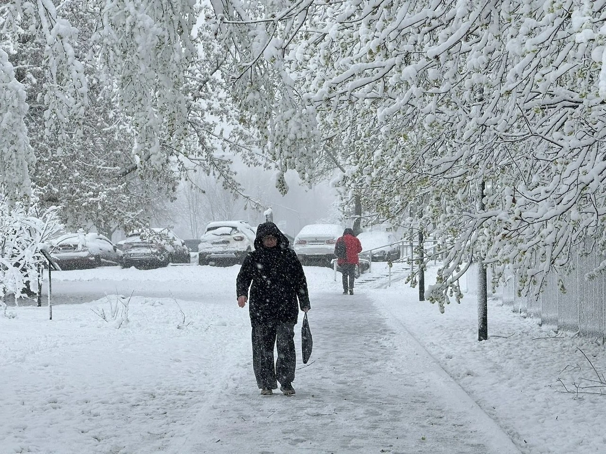 Снежный апокалипсис в Москве 27 апреля. Фото © Life.ru