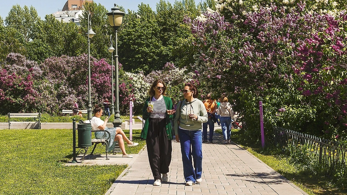 Знаменитости о снегопаде в столице: от возмущения до шуток. Фото © Shutterstock / FOTODOM / volkova natalia