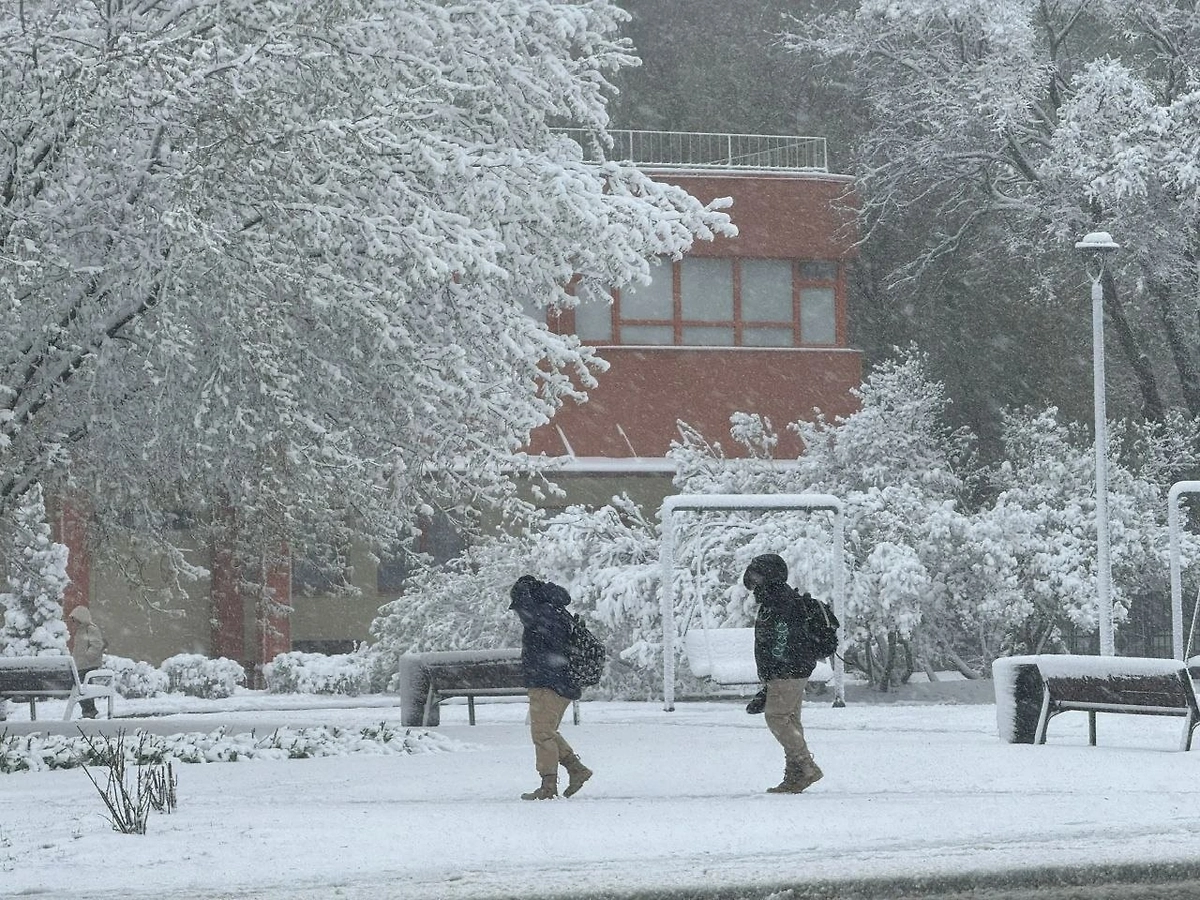 Снежный апокалипсис в Москве 27 апреля. Фото © Life.ru