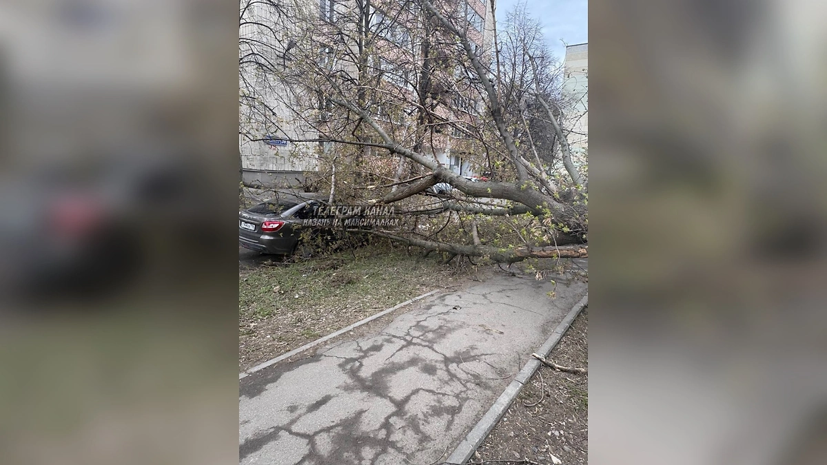 Поваленные деревья рухнули  на припаркованные машины. Фото © Тelegram / «Казань на максималках»
