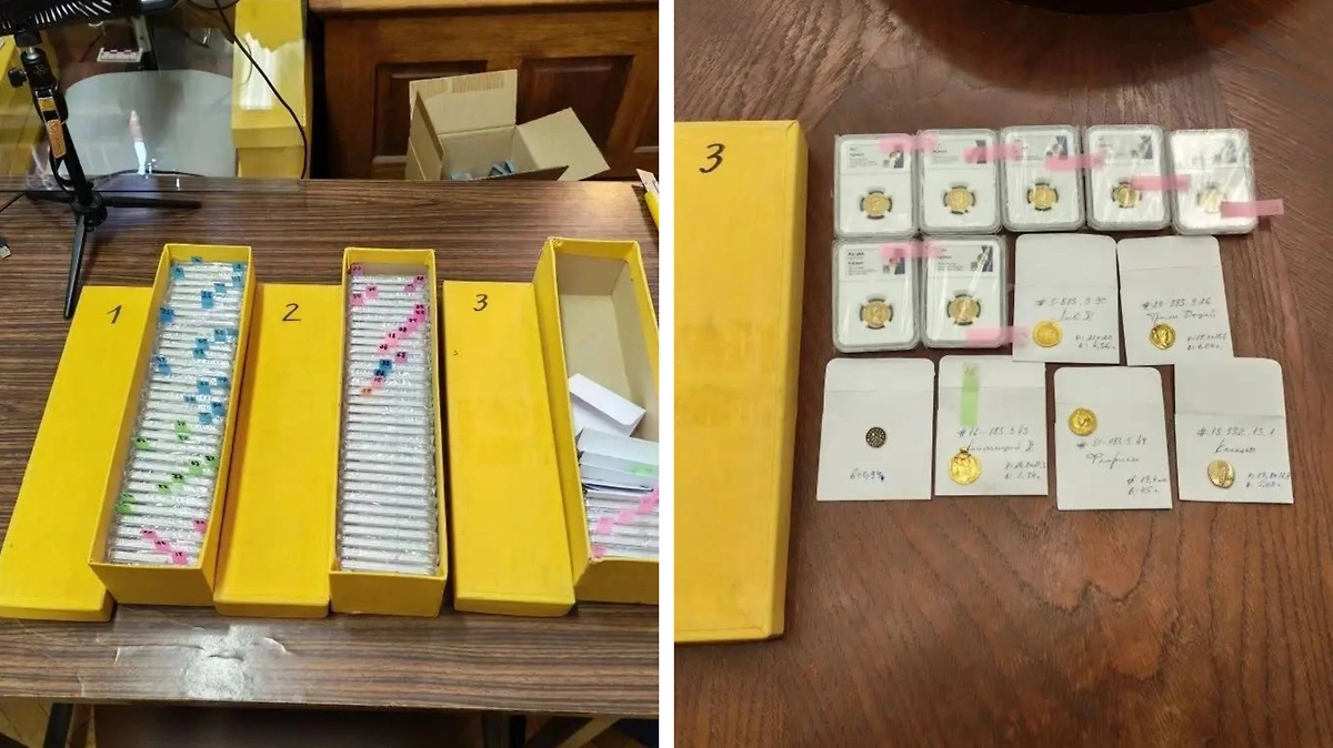 Француз похитил из музея Сен-Реми монеты на 53 млн рублей и хотел продавать в РФ. Фото © Предоставлено Life.ru