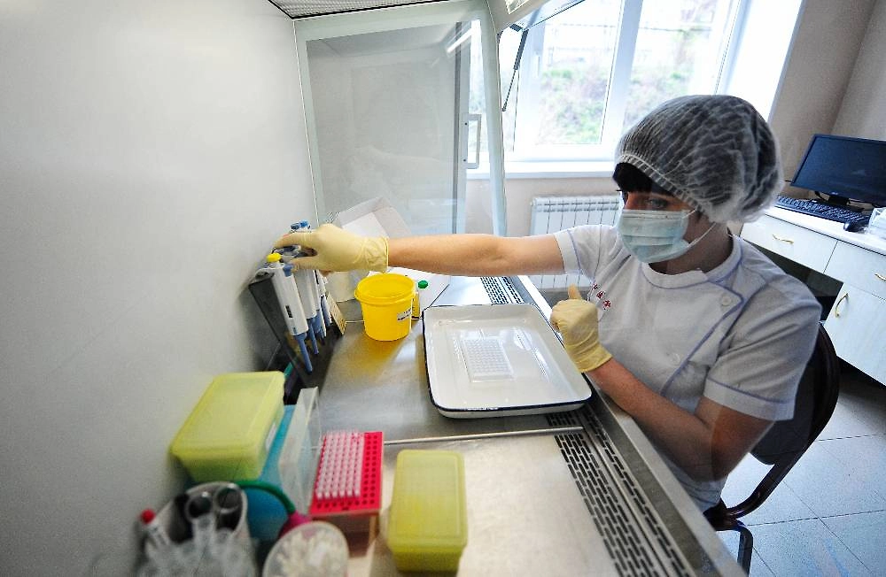 Прививка от клещевого энцефалита 2026: схема вакцинации и стоимость. Исследование клещей на наличие антигена вируса клещевого энцефалита в лаборатории. Фото © ТАСС / Юрий Смитюк