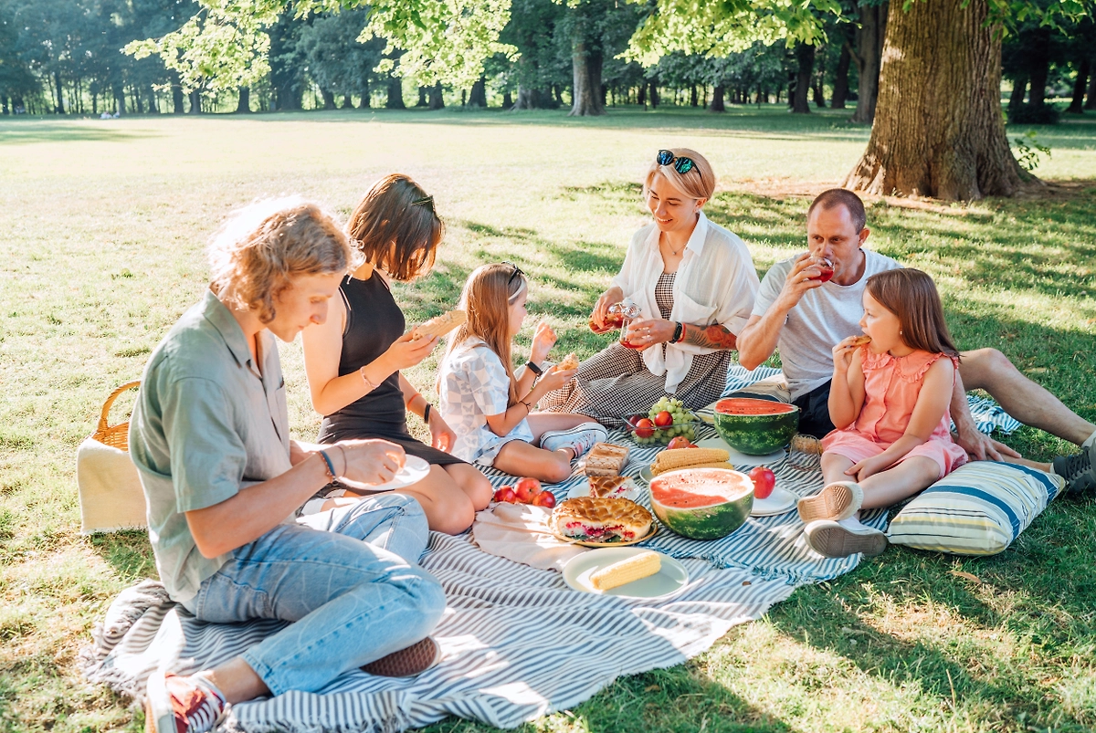 Полезные советы для организации пикника. Фото © Shutterstock / FOTODOM / Soloviova Liudmyla