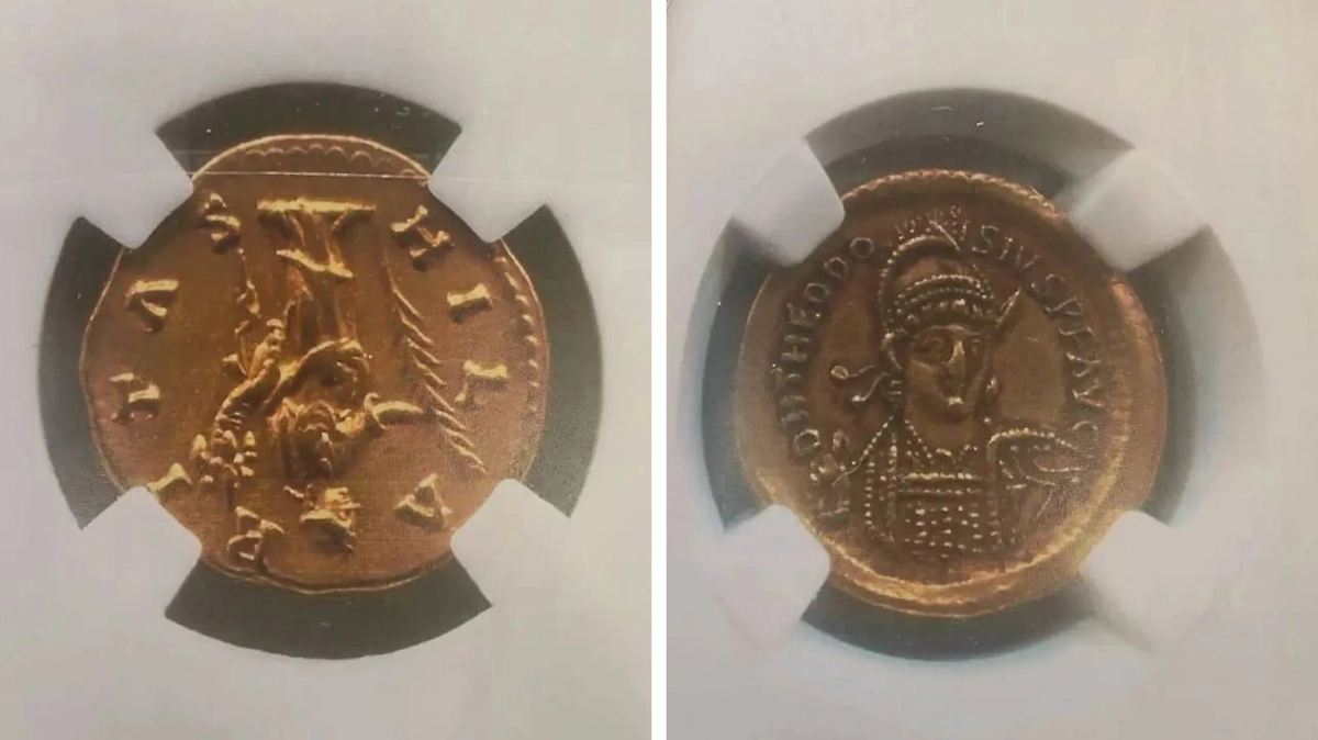 Француз похитил из музея Сен-Реми монеты на 53 млн рублей и хотел продавать в РФ. Фото © Предоставлено Life.ru