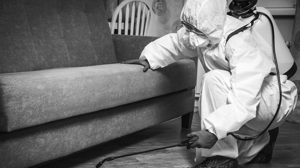 Как появился аппликатор Кузнецова? История создания самого знаменитого массажёра СССР. Фото © Shutterstock / FOTODOM / Natallia Boroda