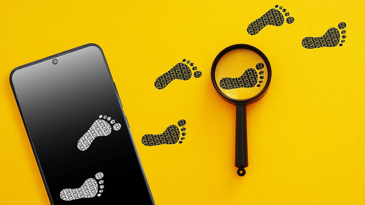 Что такое цифровой след и как его стереть из Интернета? Данные и виды цифрового следа. Фото © Shutterstock / FOTODOM / Jack_the_sparow