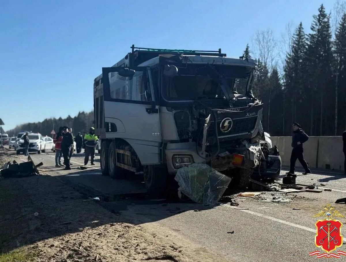 Фото © Telegram / Полиция Петербурга