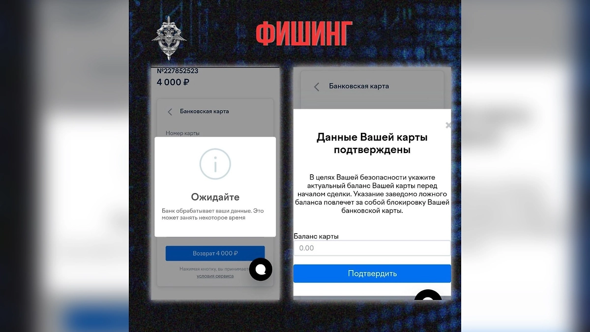 Фишинговая форма, с помощью которой мошенники узнают баланс средств на карте. Фото © Telegram / Вестник киберполиции