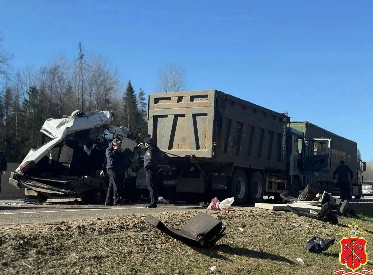 Фото © Telegram / Полиция Петербурга