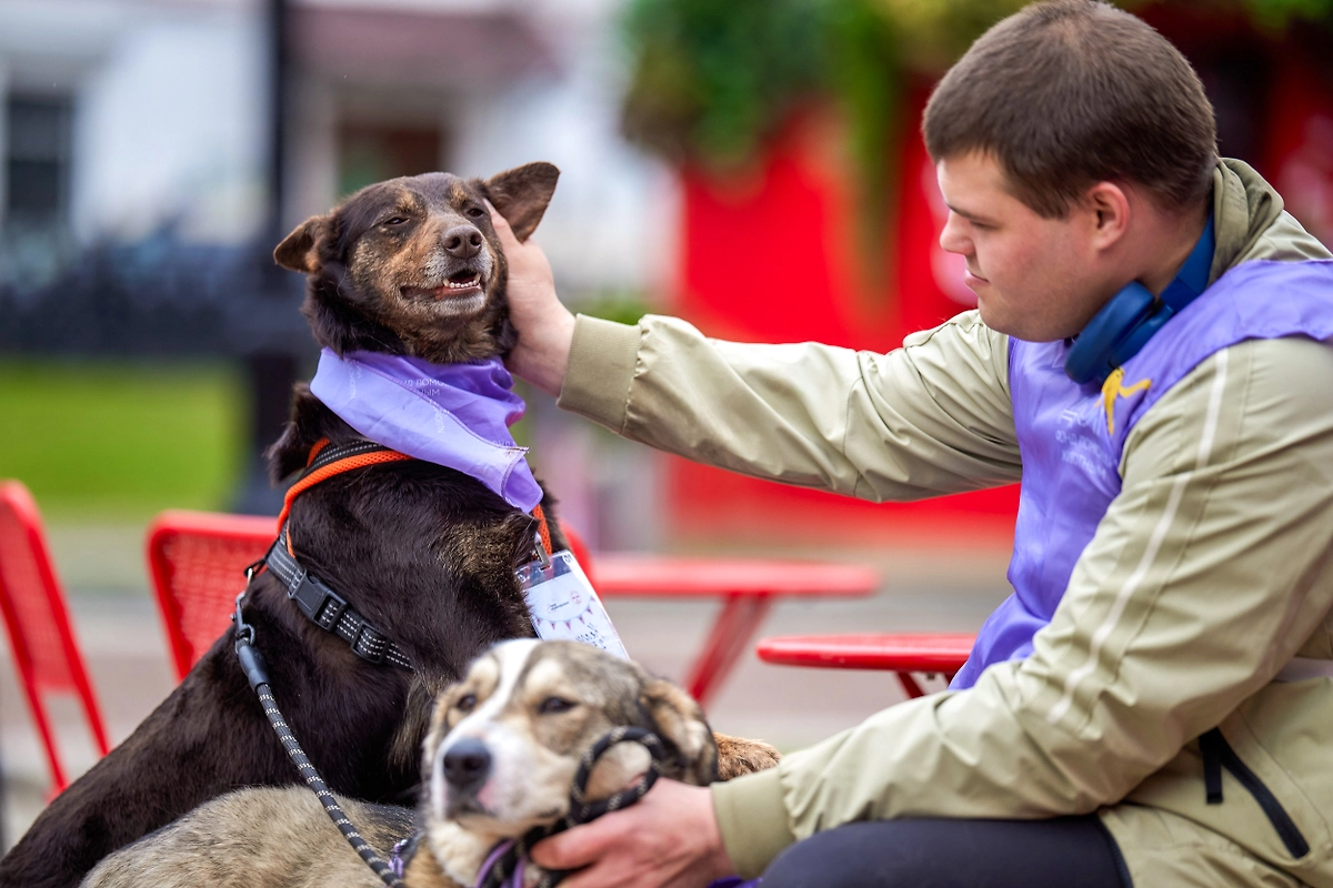 Фото © Редакция «Мос.Фото»