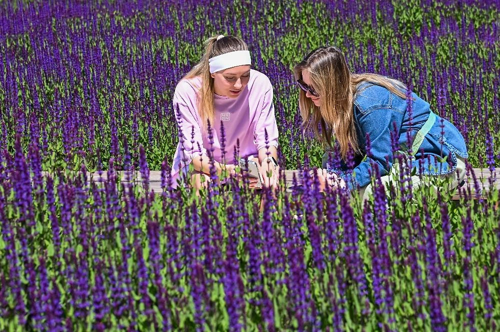 Какая погода будет на майские праздники 2026 в Краснодаре. Фото © ТАСС / Игорь Онучин