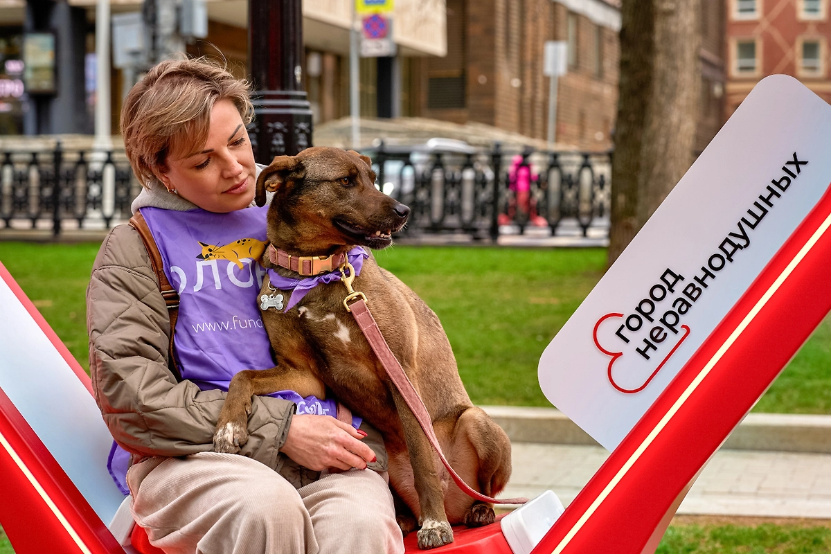 Фото © Редакция «Мос.Фото»