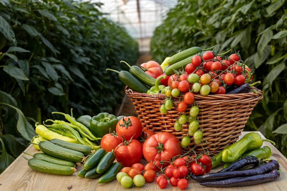 Какие культуры можно удобрять органической подкормкой? Топ-9 растений, которые скажут вам спасибо. Фото © Shutterstock / FOTODOM / sadecestock