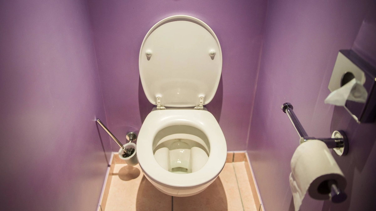 Почему современные унитазы не требуют высокого бачка: объясняем. Фото © Shutterstock / FOTODOM / Elnur