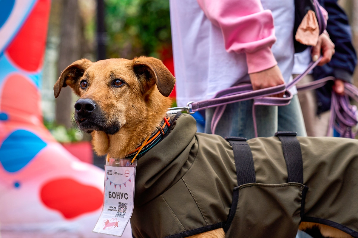 Фото © Редакция «Мос.Фото»