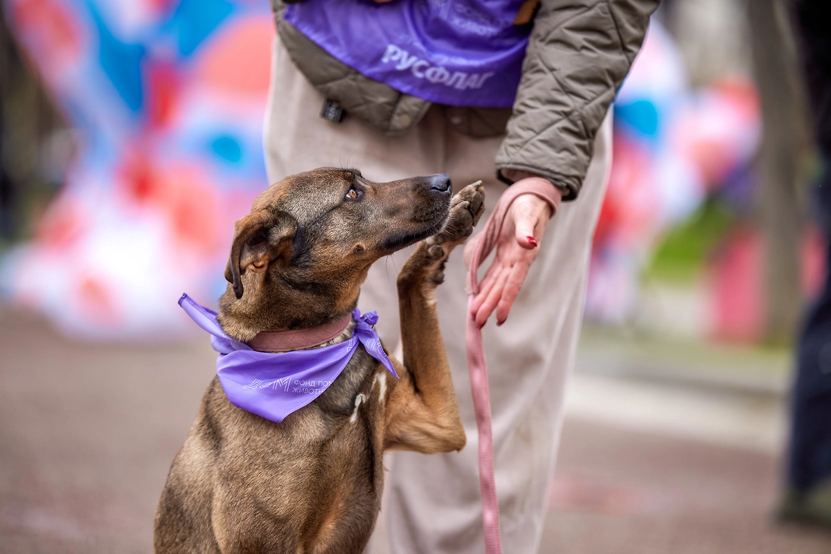 Фото © Редакция «Мос.Фото»