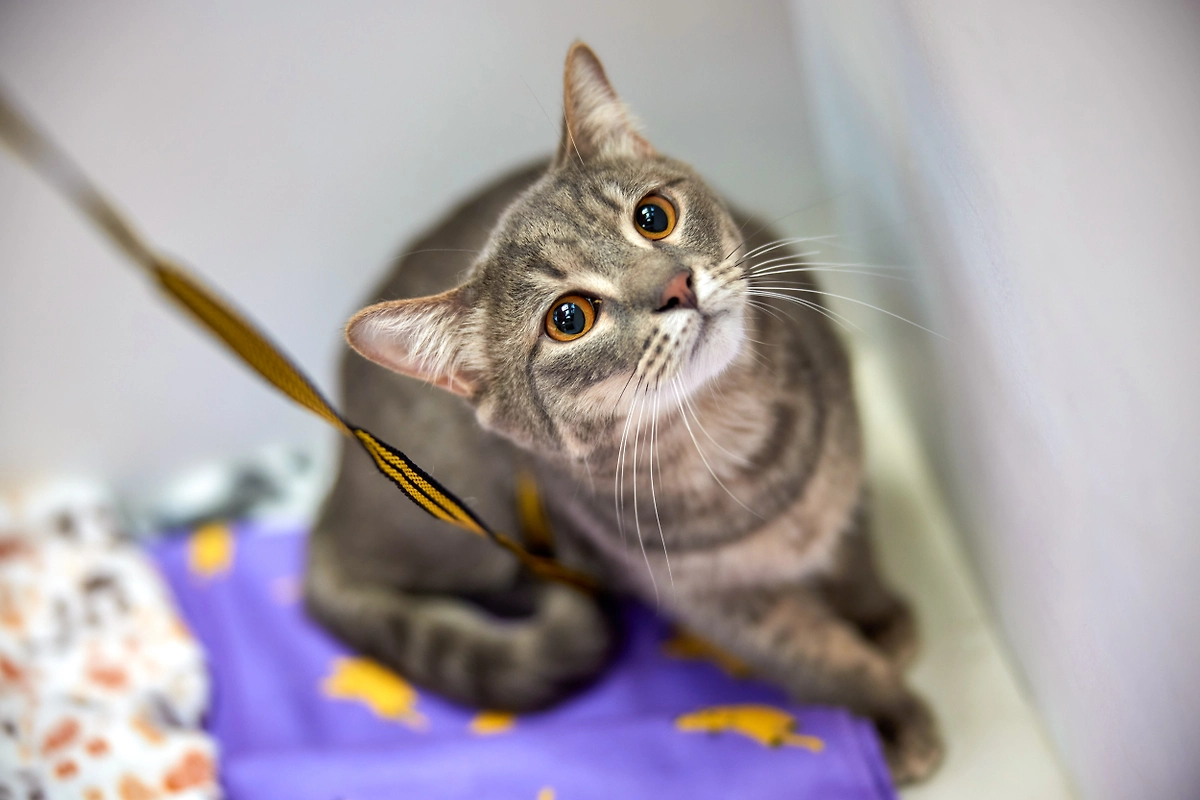 Фото © Редакция «Мос.Фото»