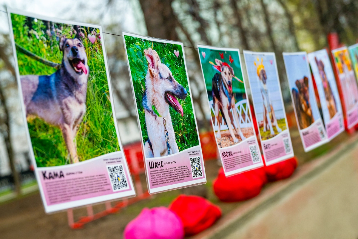 Фото © Редакция «Мос.Фото»