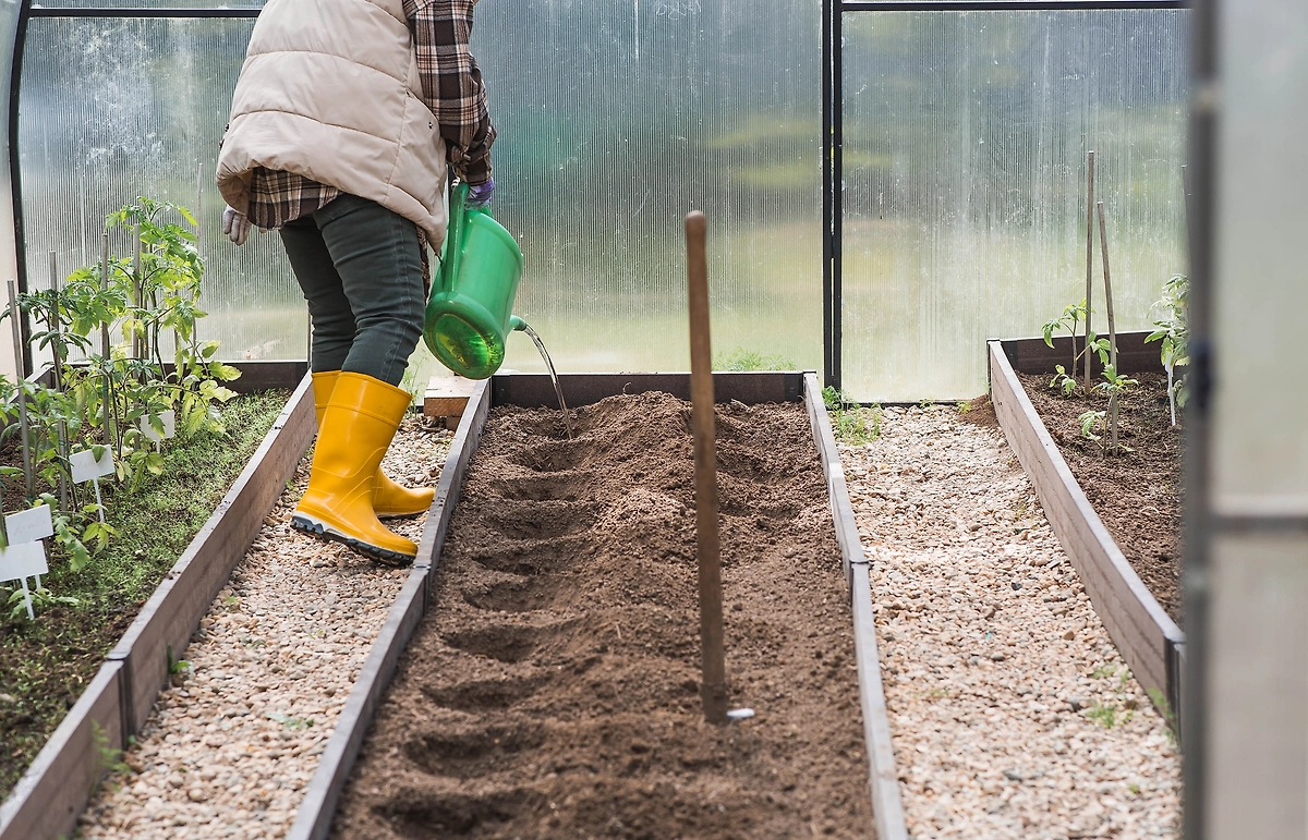 Работа в теплице: что делать на даче в апреле 2026? Фото © Shutterstock / FOTODOM / PhotoJuli86