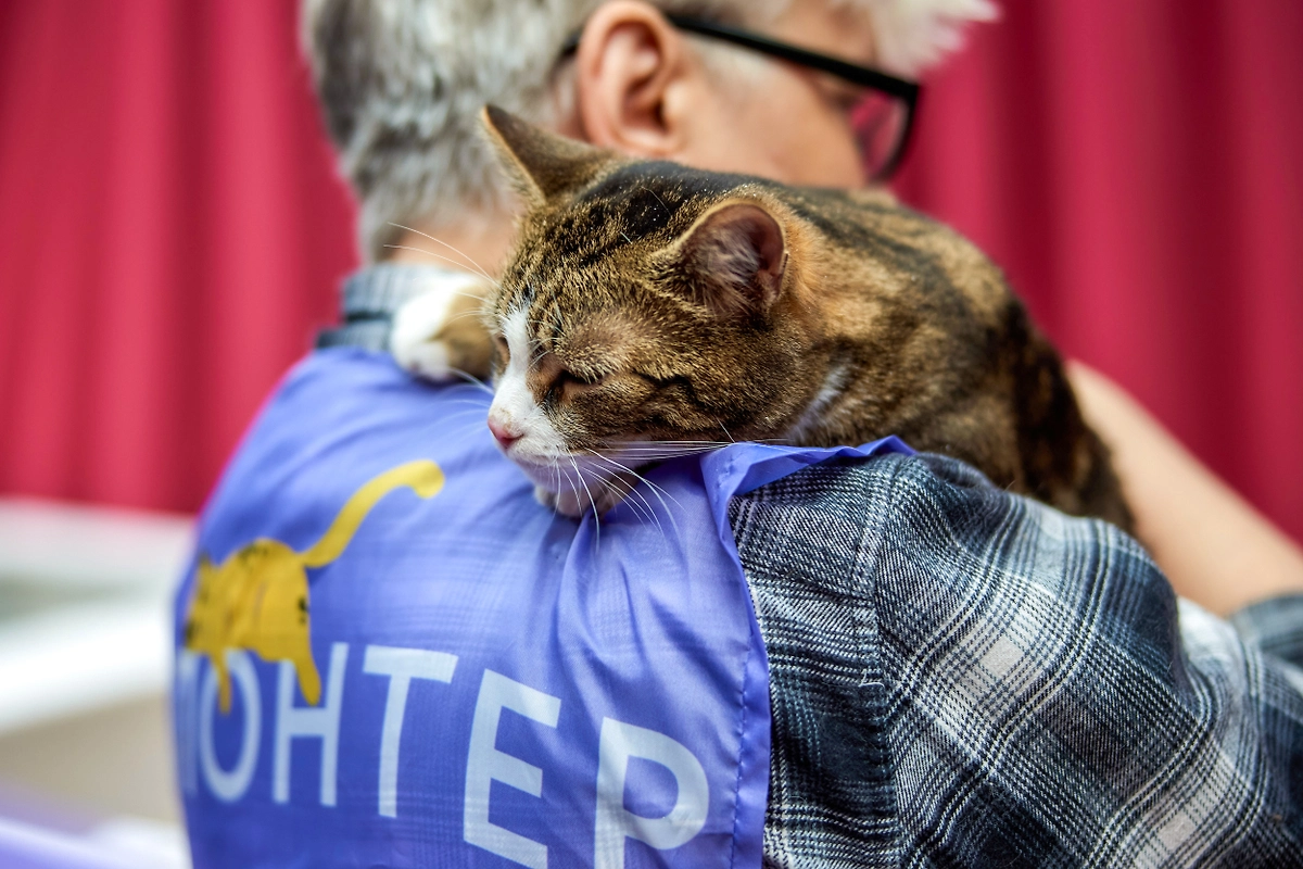 Фото © Редакция «Мос.Фото»