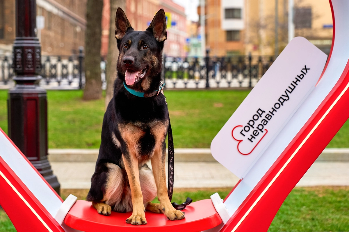 Фото © Редакция «Мос.Фото»