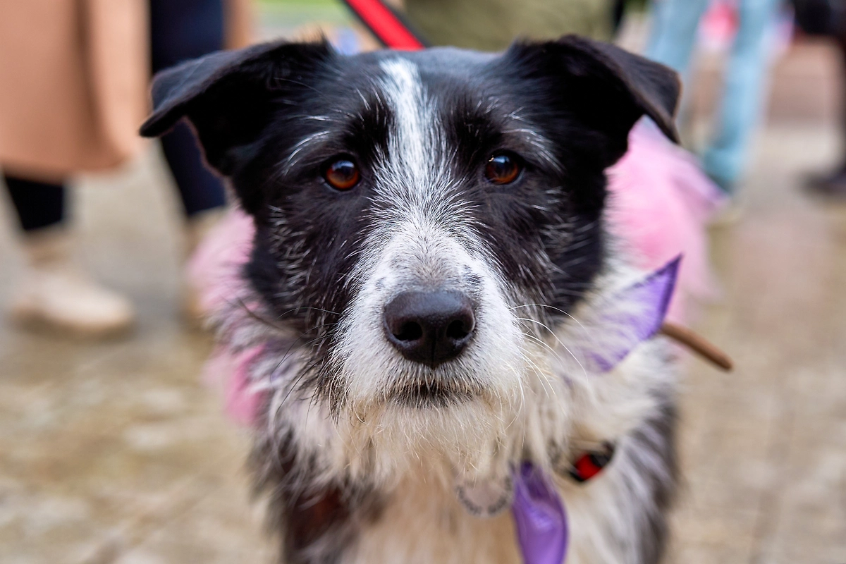 Фото © Редакция «Мос.Фото»