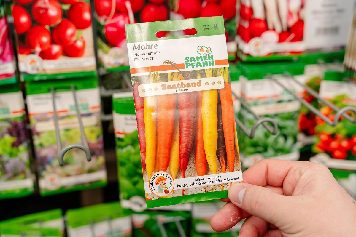 Холодостойкие культуры для посадки в апреле 2026: топ-7 культур, которые можно сажать прямо сейчас. Фото © Shutterstock / FOTODOM / Elena Ebinger