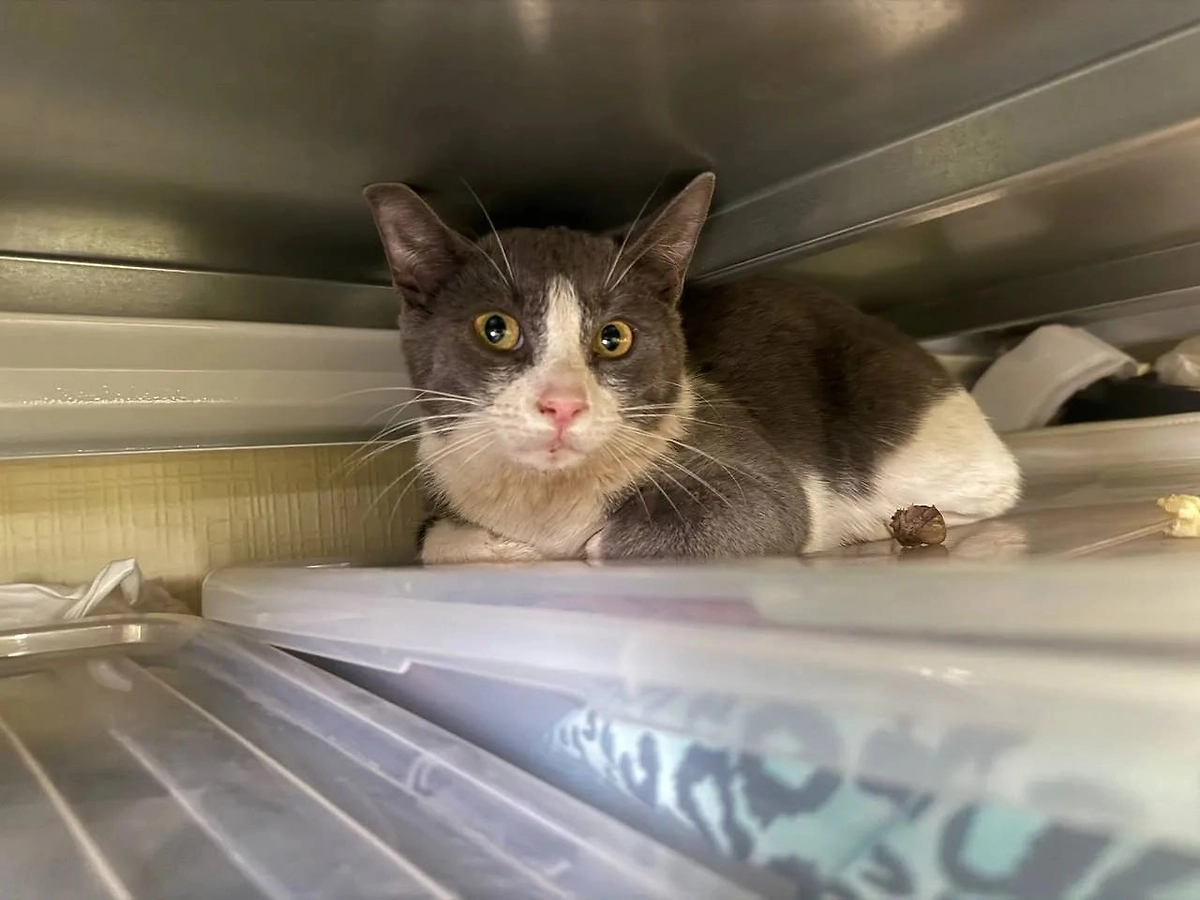 Малышу быстро нашли семью. Фото © Telegram / Спасатели СпасРезерв