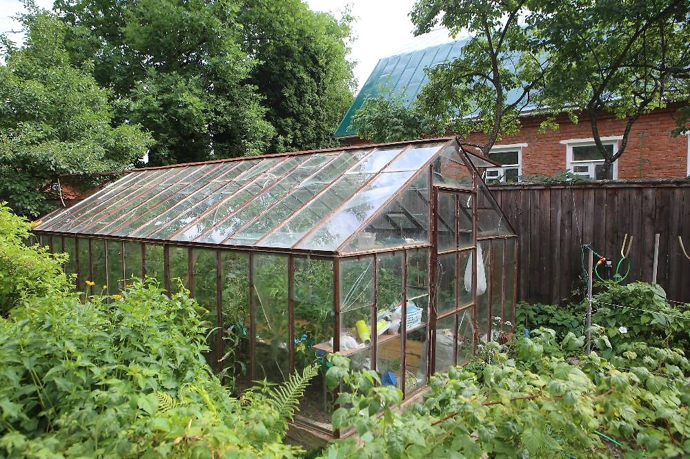 Что первым делом нужно сделать в теплице после зимы. Фото © ТАСС / Ярослав Чингаев