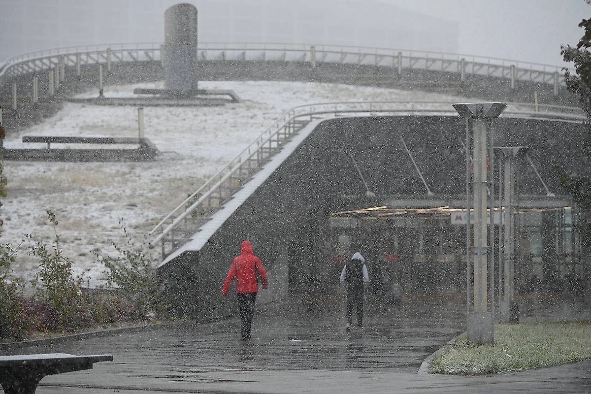 МЧС предупредило москвичей о мокром снеге и ветре до 15 м/с