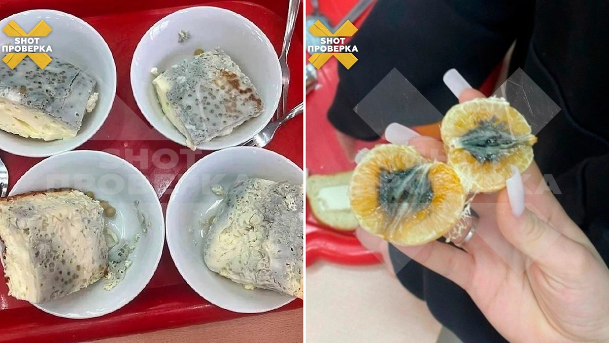 Антисанитария в детских садах Одинцово. Фото © Telegram / SHOT ПРОВЕРКА