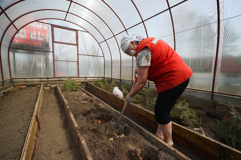 Как подготовить почву в теплице для посадки. Фото © ТАСС / Владимир Смирнов
