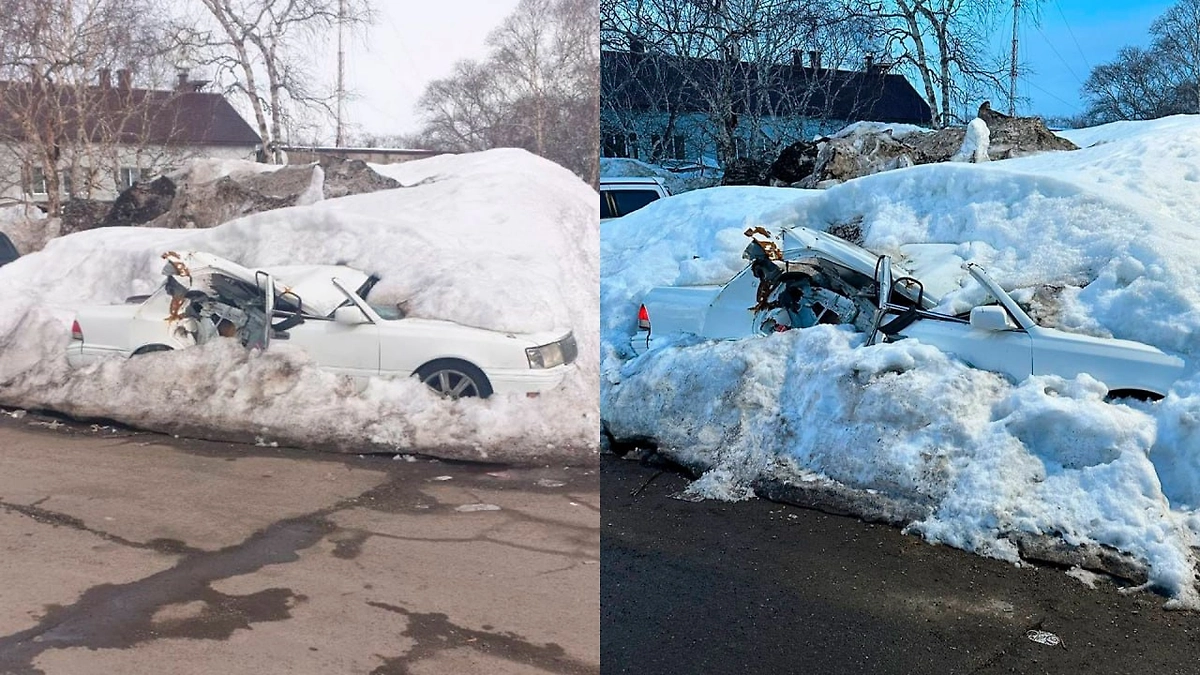 «Подснежники», которые оттаивают на Сахалине. Фото © Telegram / «ЧП Камчатка»