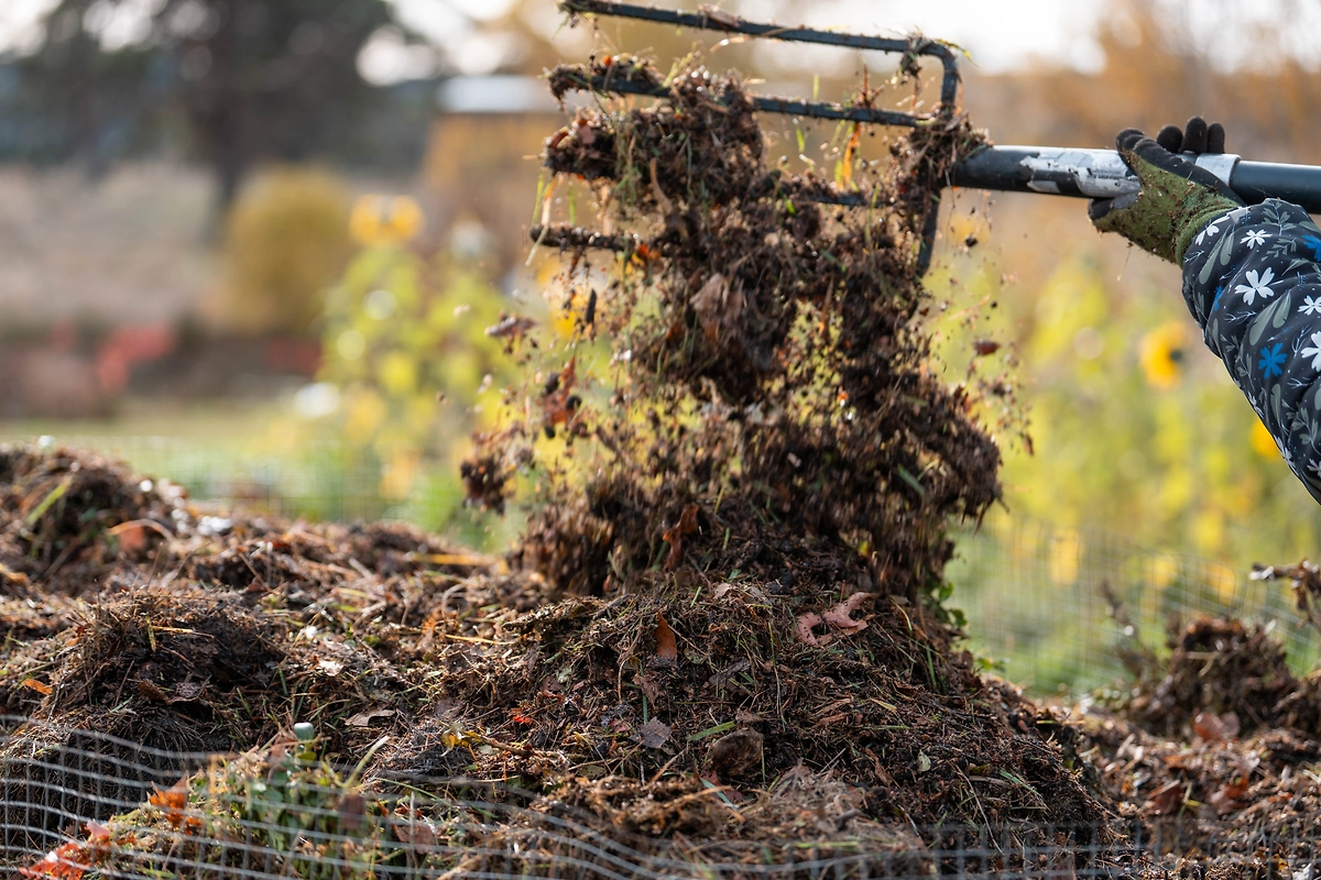 Свежий навоз погубит огурцы на старте, если попадёт в лунку. Топ-6 подкормок, которые убьют ваши огурцы. Фото © Shutterstock / FOTODOM / William Edge
