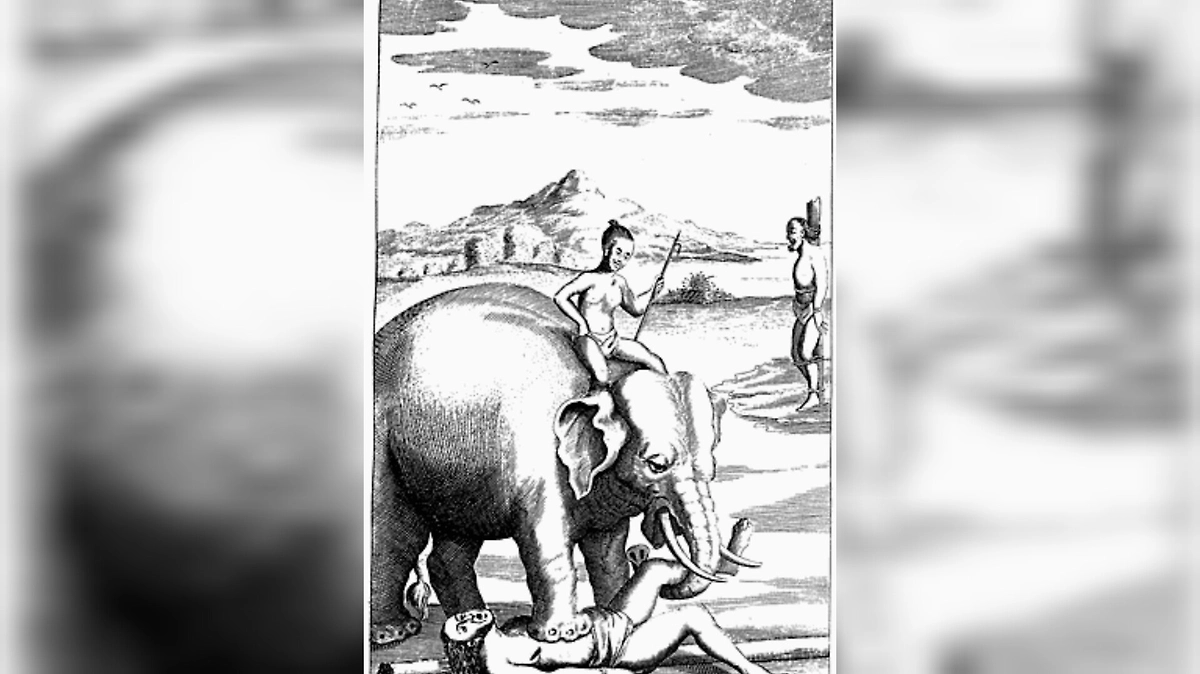 Что пишут историки: 4000 лет документальных подтверждений жестоких казней с участием слонов. Фото © Wikipedia / Роберт Нокс