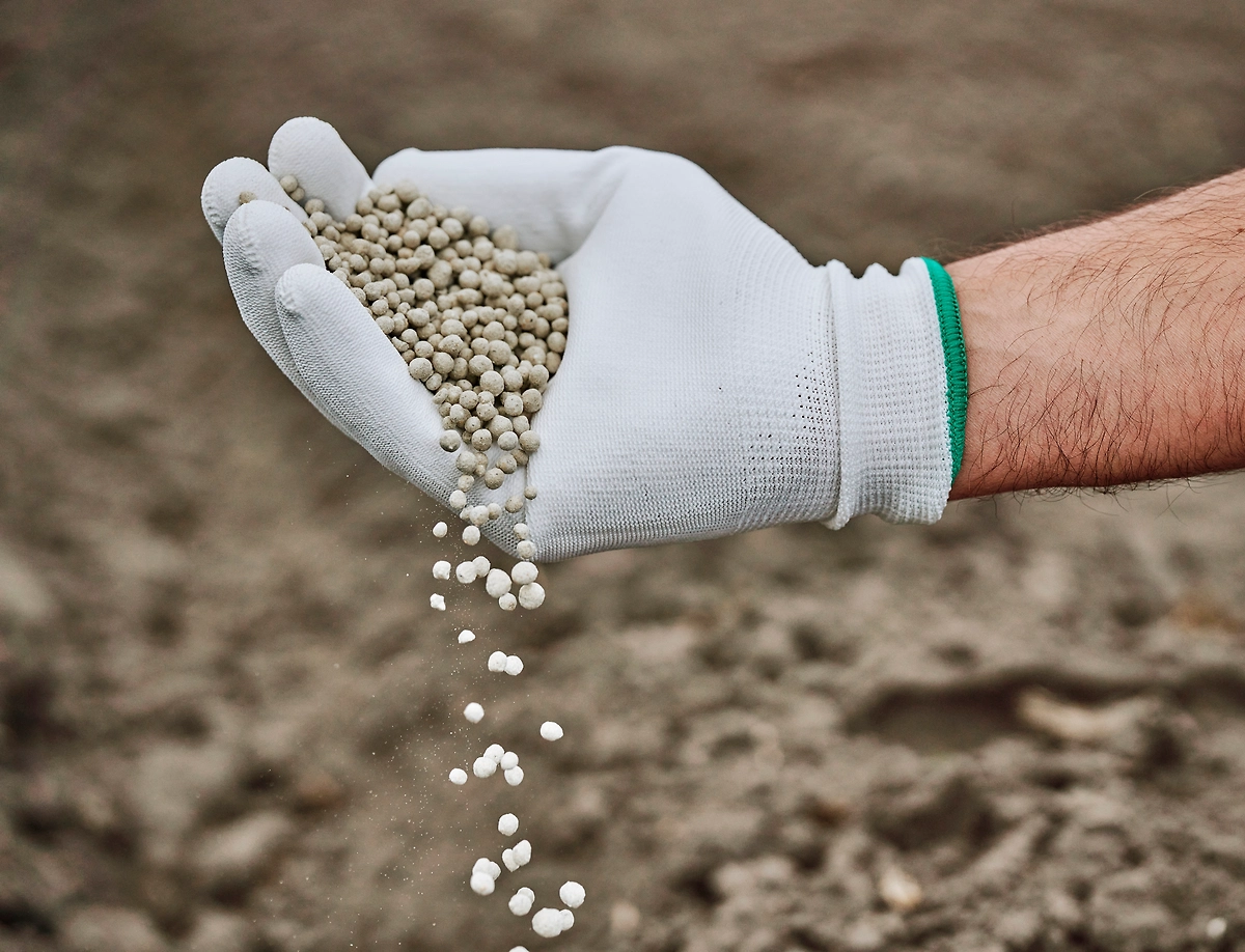 Как правильно использовать минеральные удобрения для огурцов? Фото © Shutterstock / FOTODOM / piotr szczepanek