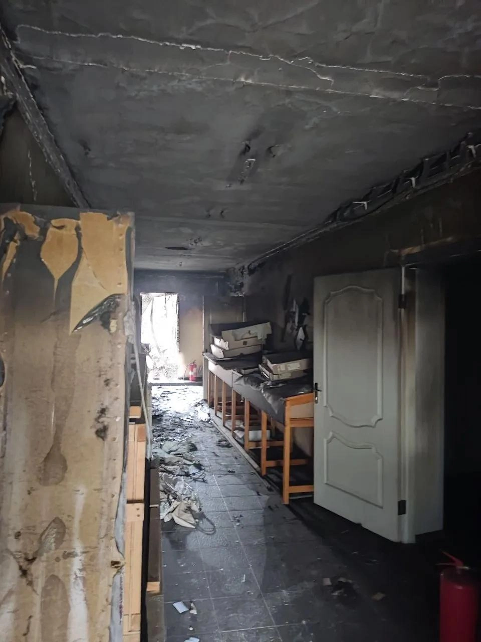 Обложка © Telegram / Евгений Балицкий