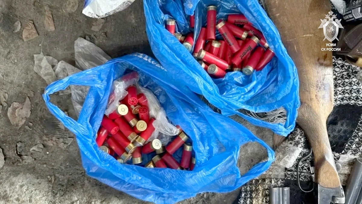 Оружие, найденное у банды похитителей в Иркутске. Скриншот © Telegram / Следком