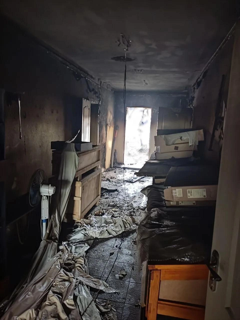 Обложка © Telegram / Евгений Балицкий